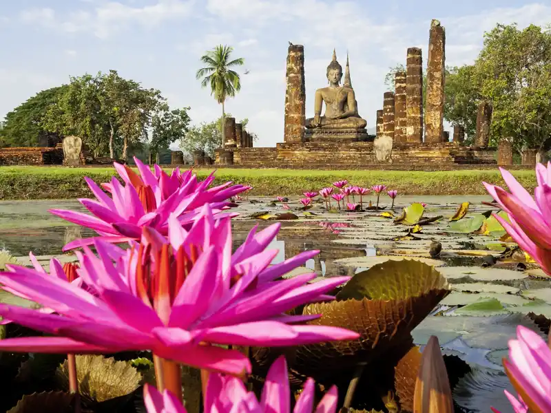 Ein magischer Moment auf Ihrer Studienreise durch Thailand: die große Buddhastatue, umgeben von Seerosen im Geschichtspark Sukhothai. Vor Ort erfahren Sie mehr über die Geschichte der alten Königsstadt.