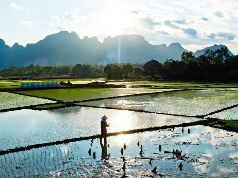 Abendstimmung über den Reisfeldern - ein typisches Bild auf dieser unserer Studienreise durch Indochina