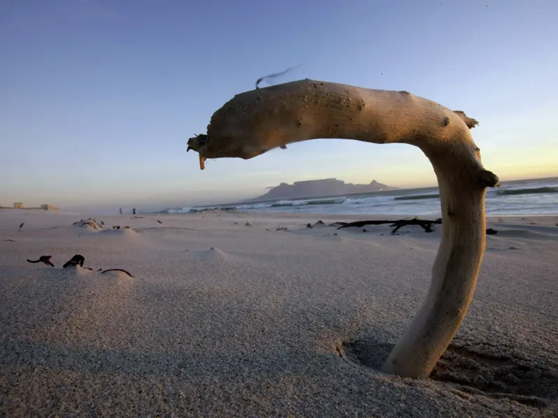 Finale unserer zwei Wochen Südafrika mit Studiosus ist das grandiose Kapstadt