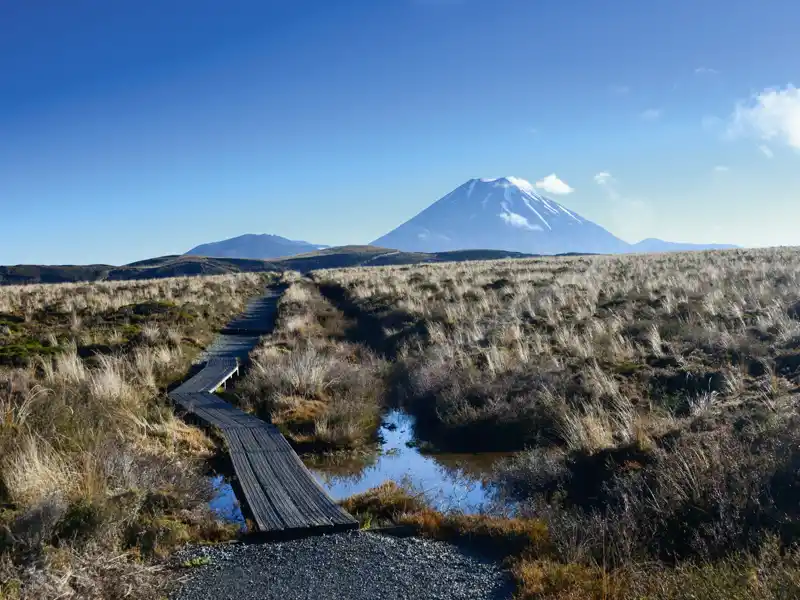 Auf unserer Wanderstudienreise durch Neuseeland wohnen wir eine Nacht im Tongariro-Nationalpark am Fuße der Vulkane. Für Peter Jackson war der Ngauruhoe der Schicksalsberg.