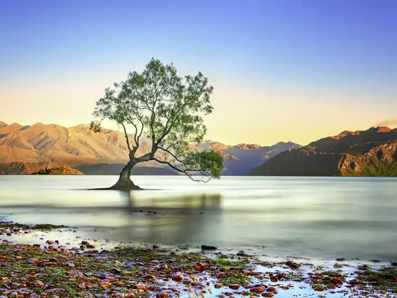 Auf unserer Wanderreise durch Neuseeland wohnen wir eine Nacht in Wanaka, in einem Resort am See. Von hier aus lassen sich tolle Wanderungen unternehmen.