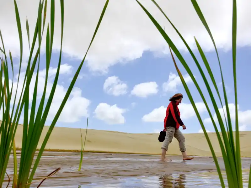 Auf der Nordinsel herrscht, vor allem ganz im Norden, mediterranes Klima. Hier gibt es tolle Sandstrände, an denen wir während unserer Wanderreise durch Neuseeland auch mal ohne Schuhe laufen können.