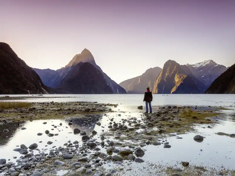 Auf unserer Studienreise mit Muße nach Neuseeland unternehmen wir eine Bootsfahrt mit Mittagessen auf dem Milford Sound. Dies ist einer der schönsten Tagesausflüge, die die Südinsel Neuseelands zu bieten hat.