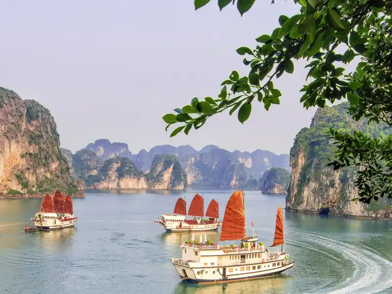 Unsere Reise für Singles- und Alleinreisende nach Vietnam führt uns in die Halongbucht, wo wir eine Nacht auf einer der traditionellen Boote, einer Dschunke, übernachten.