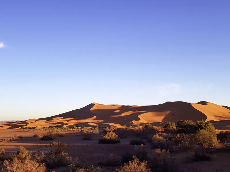 Die Sanddünen des Erg Chebbi bei Merzouga sind einer der Höhepunkte auf unserer Studienreise durch Marokko. Hier haben Sie die Gelegenheit, die Stille der Wüste zu genießen. Unser Hotel lieht direkt am Rande der Sahara!