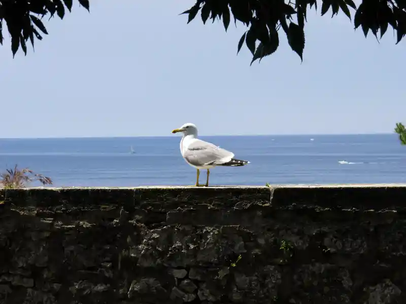 Auf unserer smart&small-Reise nach Triest und Istrien erholen wir uns des Öfteren auch am Strand.