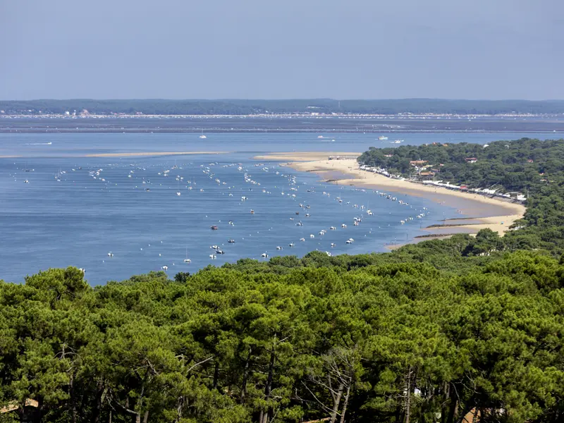 Ein Höhepunkt auf unserer Frankreichreise in kleiner Gruppe - im doppelten Sinn - ist die Düne von Pilat, die höchste Sanddüne Europas, von der wir einen herrlichen Blick über die Bucht von Arcachon genießen