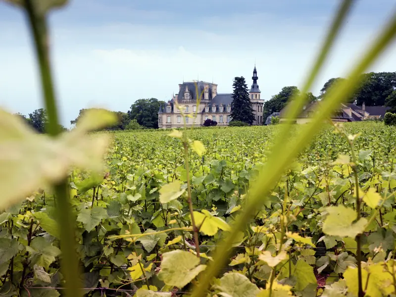 Denkt man an Burgund, denkt man sofort auch an den edlen Rotwein der Region. Auf einem Weingut tauchen wir während unserer Rundreise in die Welt der Burgunderweine ein und probieren die edlen Tropfen.