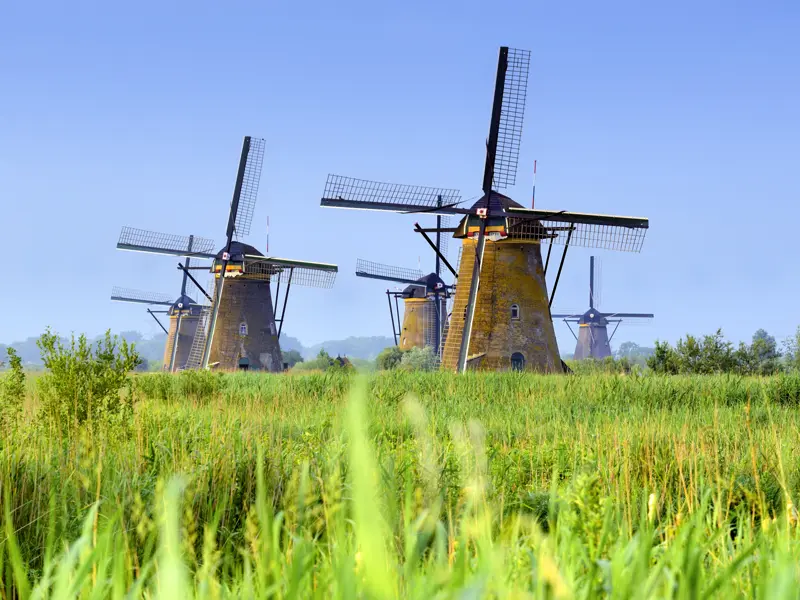 Auf unserer smart&small-Rundreise durch die Niederlande wollen wir natürlich auch die traditionellen Windmühlen sehen. In Kinderdijk haben wir auf einer Bootsfahrt die Gelegenheit dazu und treffen sogar eine Holländerin, die im Dorf lebt.