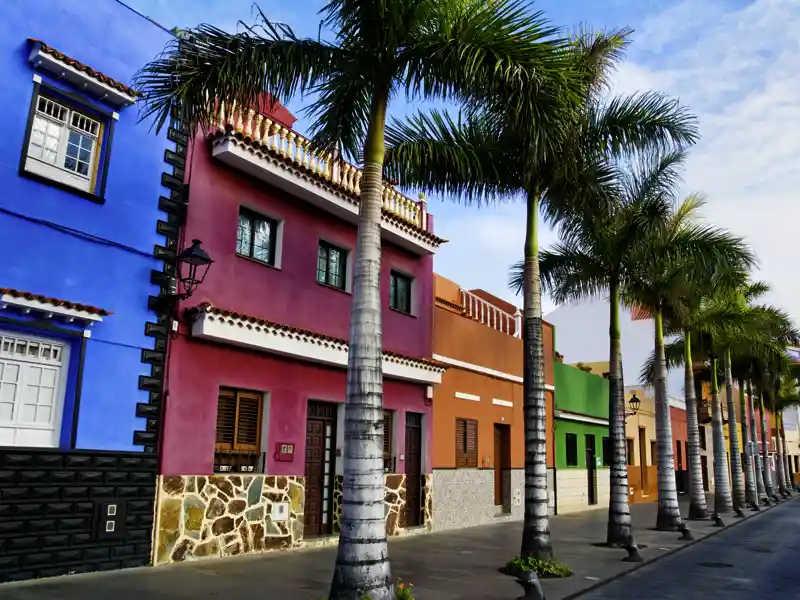 Auf unserer Rundreise zu den Kanarischen Inseln besuchen wir auf Teneriffa das Städtchen Puerto de la Cruz mit seinem botanischen Garten.