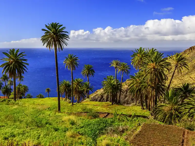 Grün, steil und terrassiert: Wir durchqueren auf unserer Studiosus-Rundreise in kleiner Gruppe den fruchtbaren Norden von La Gomera mit seinen gigantischen Ausblicken auf den Atlantik.