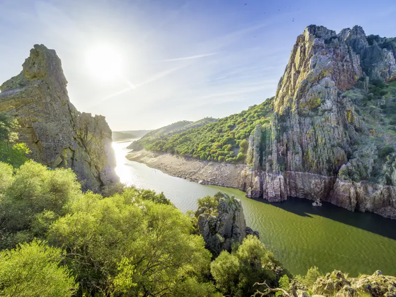 Auf unserer Rundreise mit Studiosus durch Kastilien und die Extremadura sind wir im Nationalpark von Monfragüe unterwegs, wo Geier und Adler am Himmel ihre Kreise ziehen.