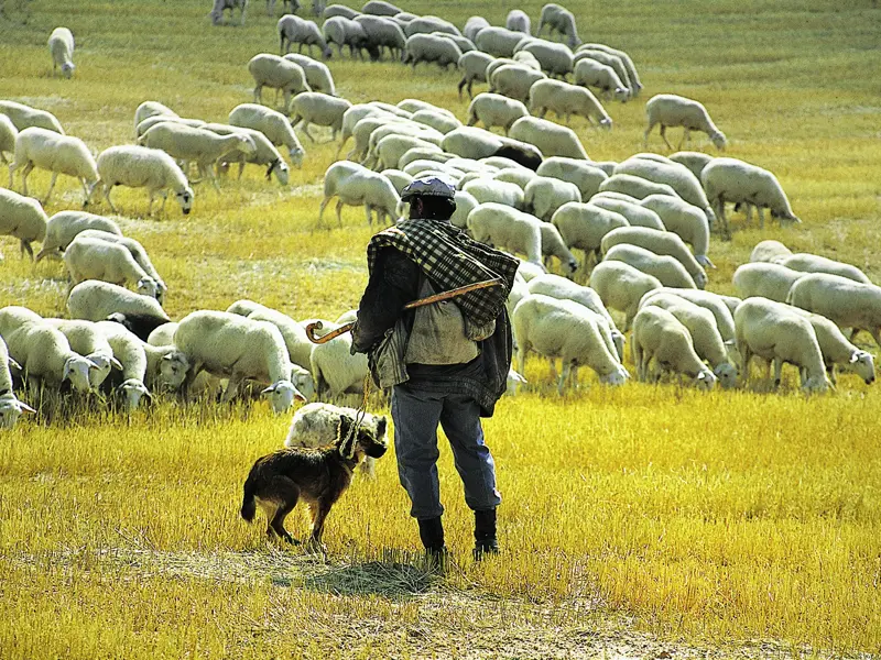 Auf unserer Rundreise durch Kastilien und die Extremadura zeigt sich die Natur von ihrer schönsten Seite.