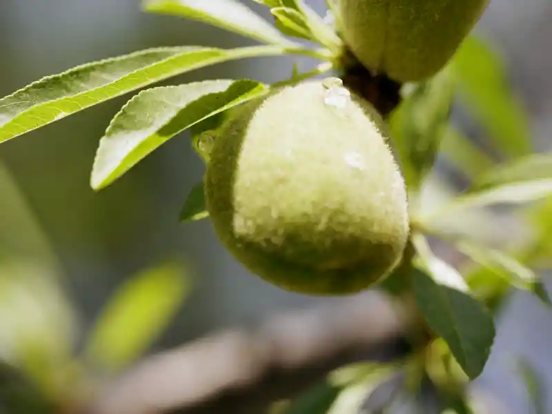 Auf unserer smart & small-Rundreise durch Andalusien zeigt sich die Natur von ihrer schönsten Seite.