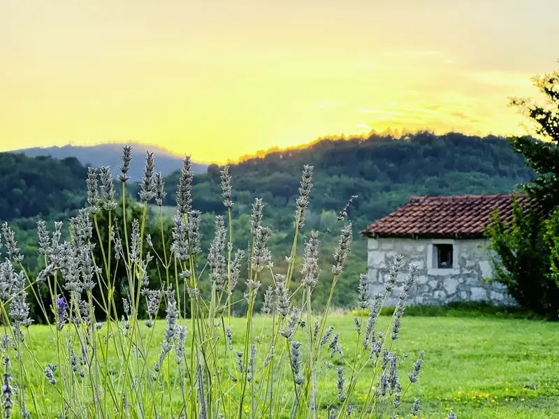 Auf unserer Rundreise durch Kroatien in kleiner Gruppe spenden uns Sonne, Meer und die schöne Natur Lebenslust!