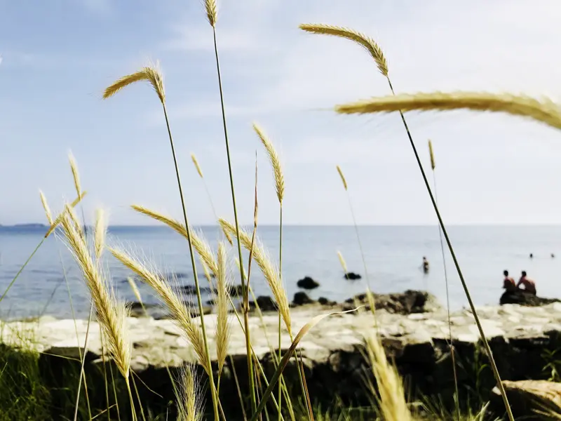 Auf unserer smart&small-Rundreise reihen sich jede Menge Stadtperlen an der Adria aneinander - das Meer und die Küste prägen diesen schönen Landstrich.