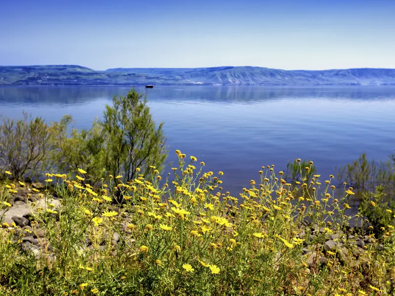 Vom Berg der Seligpreisungen genießen wir auf unserer smart & small Reise durch Israel den Blick auf den See Genezareth und die Golanhöhen.