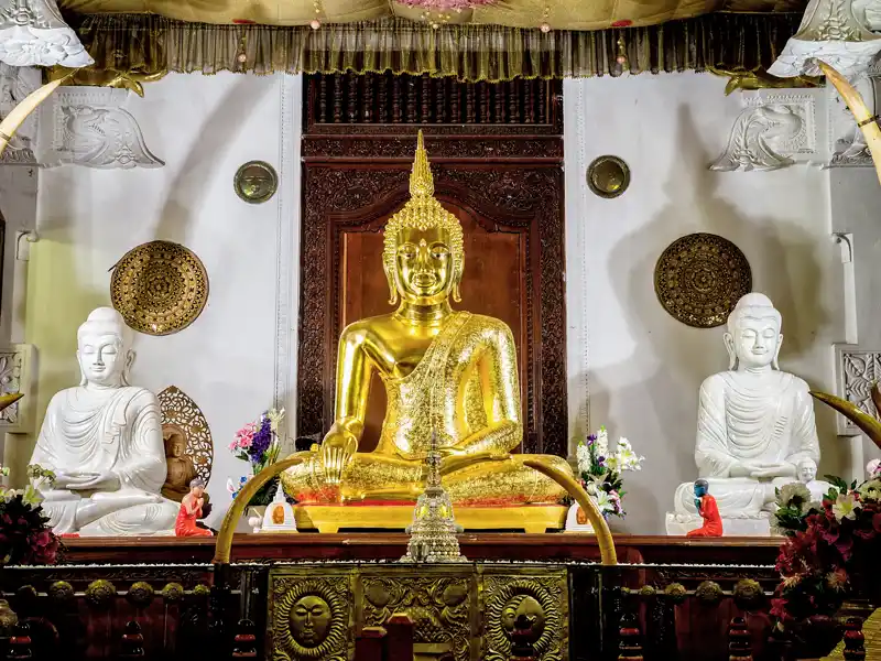 Auf unserer Rundreise durch Sri Lanka  besuchen wir in Kandy den Zahntempel (UNESCO-Welterbe). In ihm behüten Mönche die wichtigste Reliquie Sri Lankas, den linken oberen Eckzahn Buddhas. Besonders eindrucksvoll: die komplett vergoldete und mit Edelsteinen geschmückte Statue eines sitzenden Buddha.