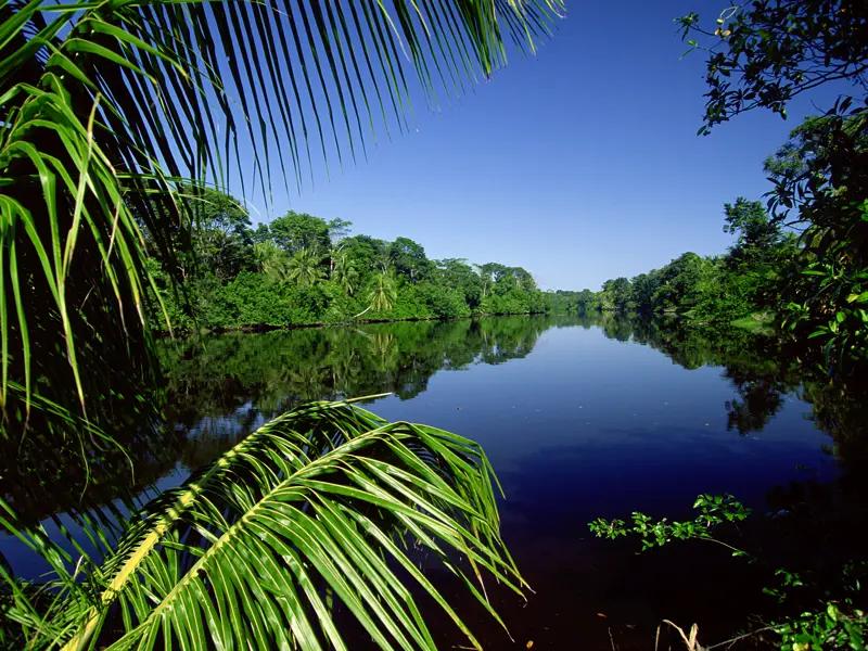 Auf unserer Rundreise durch Costa Rica in kleiner Gruppe sind die Bootsfahrten auf dem Río Tárcoles und im Cano-Negro-Schutzgebiet ein besonderer Genuss.