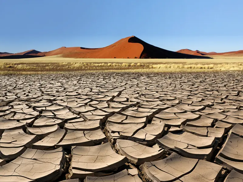 Unterwegs in Namibia, natürlich zu den Dünen der Namib am Sossusvlei