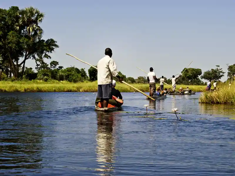 Auf unserer Rundreise durch Botswana unternehmen wir Exkursionen im Okavangodelta, mit knapp 20.000 Quadratkilometern eines der größten Feuchtgebiete Afrikas und somit Heimat für Menschen, Tiere und Pflanzen, die in der Wüste nicht überleben.