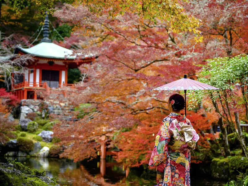 Japanerinnen kleiden sich für Fotoaufnahmen im Herbst besonders gerne traditionell in einen Kimono.