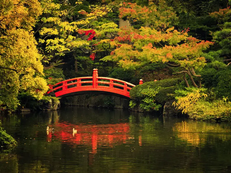 Auf unserer 15-tägigen Studienreise durchs herbstliche Japan machen wir immer wieder halt in Gärten und Parks.