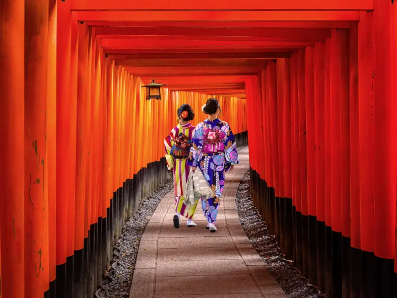 Auf diieser umfassenden Studienreise durch Japan können Sie wie diese Geishas durch die roten Tori des Fushimi-Inari-Schreins in der alten Kaiserstadt Kyoto schreiten.