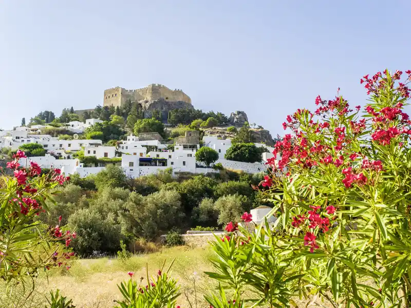 Die weißen Häuser von Lindos mit der darüber thronenden Akropolis sind eines der vielen Fotomotive auf unserer Rhodosreise für Singles und Alleinreisende.