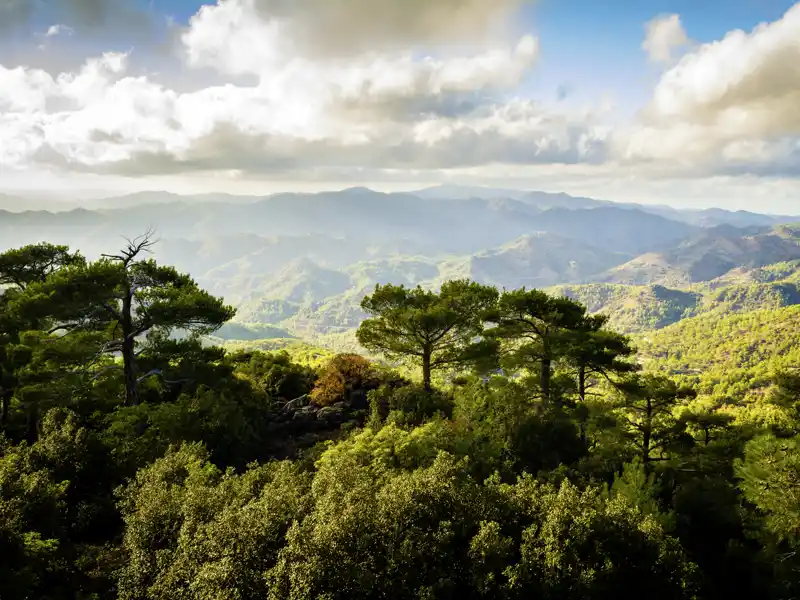 Das bewaldete Troodosgebirge ist eines unserer Ziele auf der Singlereise nach Zypern.