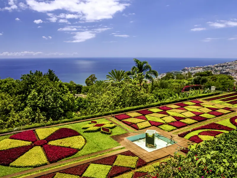 Auf unserer Singlereise über Silvester nach Madeira haben wir viel Zeit, Funchal zu entdecken, so z.B. den botanischen Garten.