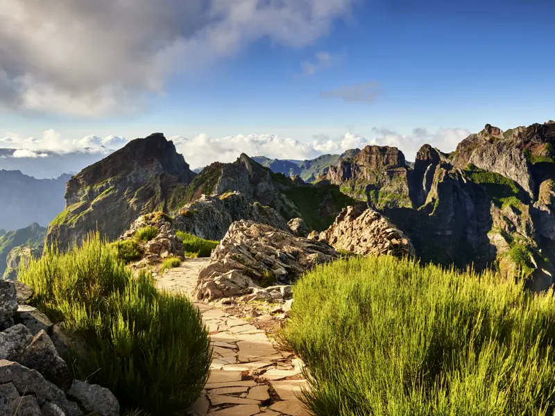 Auf unserer Silvesterreise für Singles und Alleinreisende nach Madeira verzaubert uns die vielgestaltige Landschaft der Insel mit der Steilküste am Meer, dichten Wäldern und vulkanischen Bergmassiven.