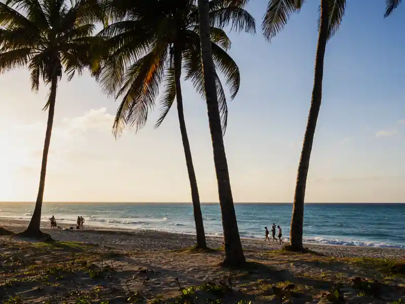 Weißer Strand, kristallklares Meer und karibisches Flair ¿ so traumhaft endet Ihre me & more-Reise für Singles und Alleinreisende durch Kuba, bevor es wieder nach Hause geht.