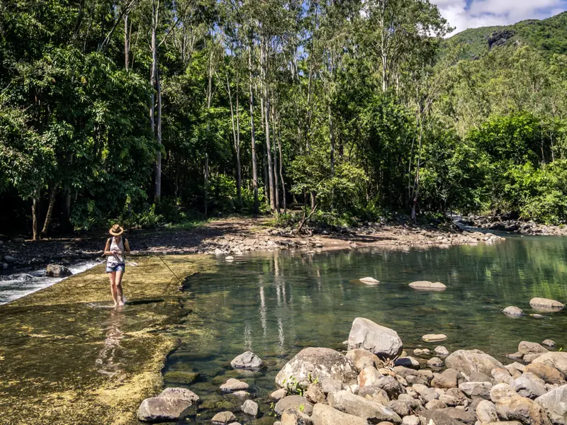 Unsere me&more-Singlereise führt uns unter anderem in den Black River Gorges National Park.