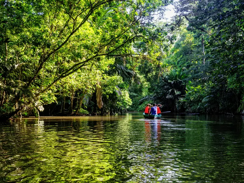 Auf unserer 16-tägigen Familienreise durch Costa Rica verbringen wir zwei Nächte im Dschungelparadies Tortuguero, einem Labyrinth aus Kanälen und Lagunen. Schon in der Morgendämmerung sind wir mit dem Boot unterwegs, wenn die Tierwelt erwacht.