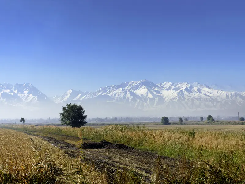 Weite Steppenlandschaften und hohe Gipfel, wie hier die des Tianshan-Gebirges, prägen die Landschaft Kirgisistans, die Sie auf unserer Studienreise nach Usbekistan und Kirgisistan erleben.