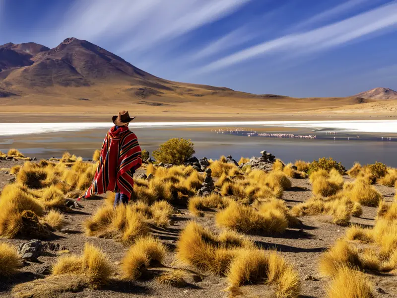 Karge Höhen und eine weite und eindrucksvolle Landschaft erleben wir auf unserer Studiosus-Reise, wo wir im Hochland Boliviens unterwegs sind und erfahren, wie Mensch und Tier in dieser Umgebung leben.