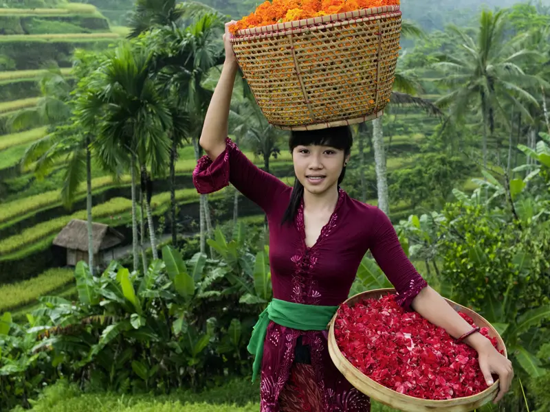 Auf unserer Studienreise nach Indonesien tauchen wir ein in tropengrüne Landschaften und den Duft von schönsten Blumenblüten.