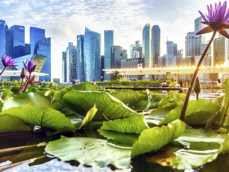 Auf unserer Studienreise nach Malaysia lernen wir bei unserem Aufenthalt Singapur kennen, u.a. die Marina Bay.