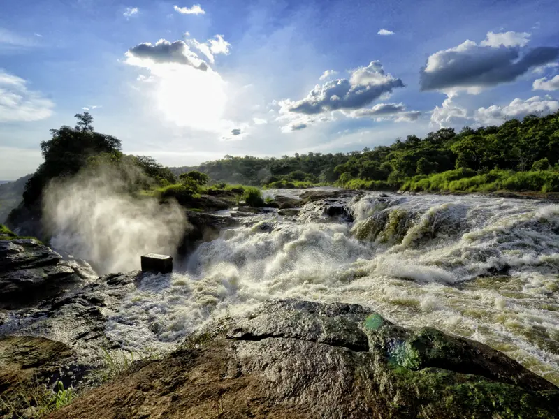 Ein Highlight unserer Naturreise Uganda - mit Gorilla-Tracking: Im Murchison-Falls-Nationalpark stürzen, auf 7 m verengt, die Wassermassen des Victoria-Nils 43 m in die Tiefe.