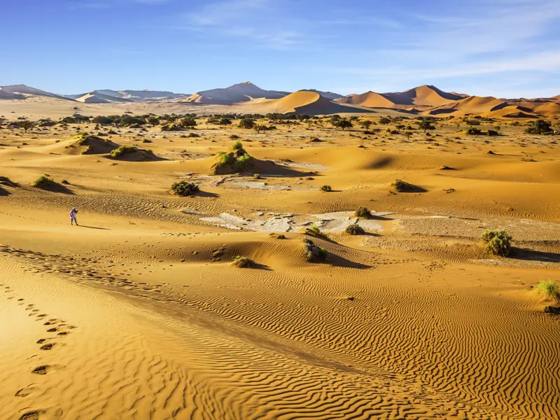 Auf unserer großen Namibiareise erleben wir die Weiten der Namibwüste.