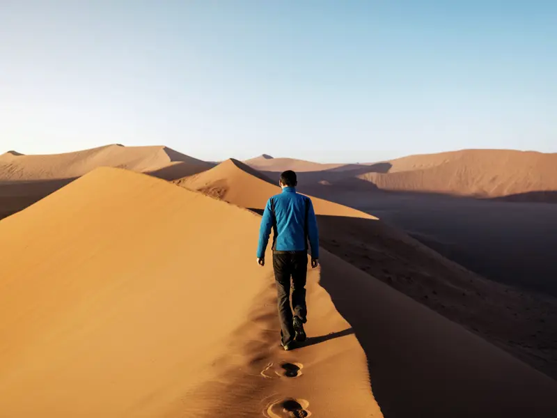 Möchten Sie am Sossusvlei mal eine Düne besteigen? Hier in Namibia gibt es die höchsten Sandberge der Welt! Sie erreichen das landschaftliche Highlight auf unserer 20-tägigen Naturerlebnis-Studienreise von Ihrer Lodge bei Sesriem aus.