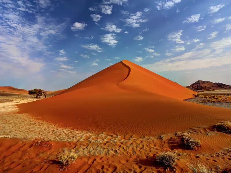 Namibia im Überblick, eine kompakte Rundreise mit Studiosus zu den Naturwundern im südlichen Afrika, natürlich mit den berühmten Dünen der Namibwüste am Sossusvlei. Die 95.000 Quadratkilometer umfassende Wüste Namib beeindruckt durch ihre meterhohen Dünen und überraschend gut angepasste Pflanzen und Tiere.