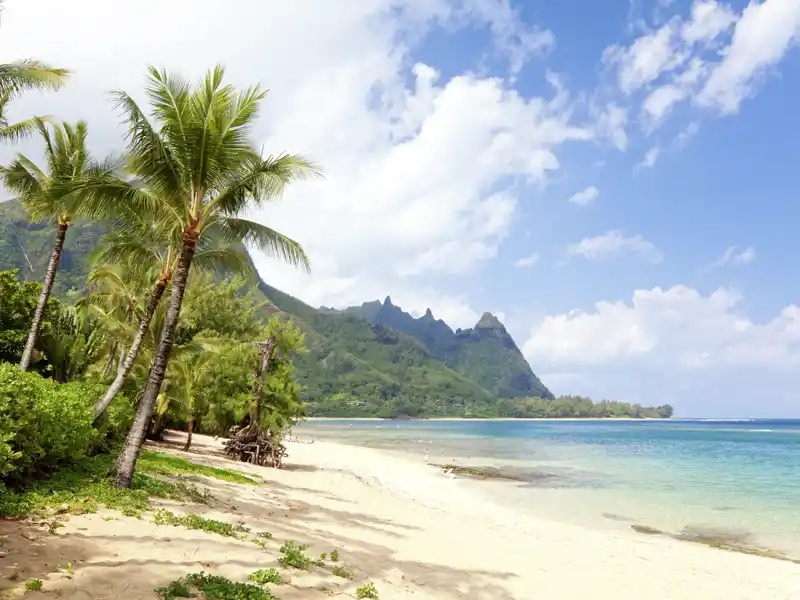 Unterwegs genießem wir auf unserer Studiosus-Reise nach Hawaii auch immer wieder freie Zeit am Strand.