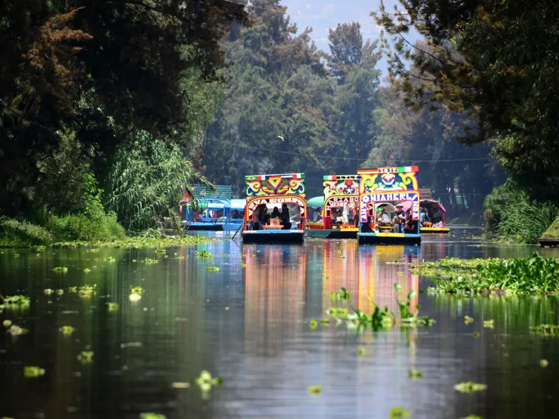 Auf unserer Studieneise durch Mexiko gleiten wir  mit den typischen, bunt bemalten Holzkähnen durch die Kanäle der schwimmenden Gärten von Xochimilco.