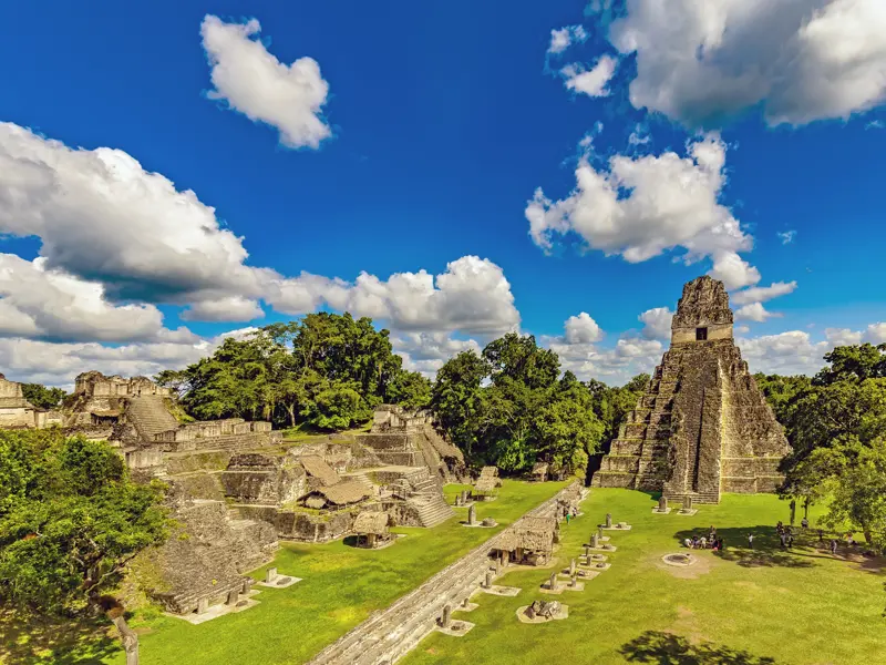 Auf unserer Studienreise durch Guatemala entdecken wir in der Mayastadt Tikal Kultur und Natur gleichermaßen: Tempel, Paläste und sogar eine ganze Akropolis verstecken sich hier im tropischen Regenwald. Hier zu sehen ist die Pyramide des Großen Jaguars, umgeben von üppigem Grün.