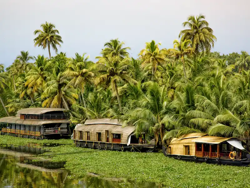 Auf unserer 20-tägigen Studienreise durch Südindien unternehmen wir eine Bootstour durch die Backwaters von Kerala, in denen auch viele Hausboote unterwegs sind.