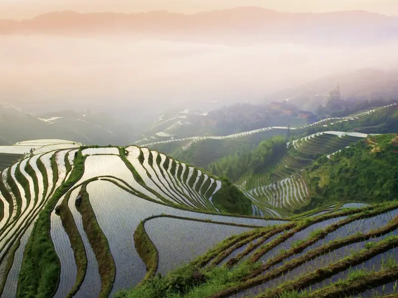 Die bis vor wenigen Jahren schwer erreichbare Region Zhangjiajie in Hunan ist zum Niederknien schön: Flüsse durchziehen die dramatischen Gebirgszüge, Täler und Terrassenfelder sind irreal grün. Alles zu erleben auf  unserer umfassenden Studienreise durch China!