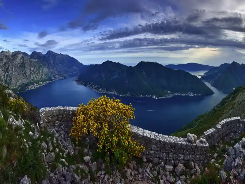 Bei der Studienreise smart & small nach Montenegro darf natürlich eine Besuch von Kotor und die fjordähnlcihe Bucht nicht fehlen. Schließlich handelt es sich ume ein UNESCO Welterbe.