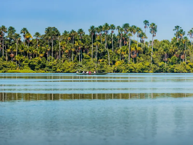 Während unseres Aufenthaltes im Amazonas-Tiefland unternehmen wir von unserer Lodge aus mehrere Exkursionen, um den Dschungel zu erkunden - mal zu Fuß, mal mit dem Boot.